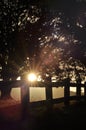 Sunset with a fence and trees silhouetted in the foreground