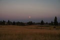 Sunset at the field with grass and trees Royalty Free Stock Photo