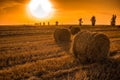 Sunset Field With Hay Bales