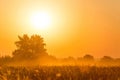 Sunset in field Royalty Free Stock Photo