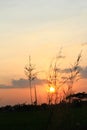 The Sunset on the field Silhouette