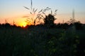 Sunset in the field Royalty Free Stock Photo