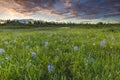 Sunset and Fields