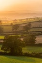 Sunset of the Fields - Berry Pomeroy Village in Devon