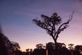 Sunset in the fields of the City of Itaara RS Brazil