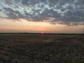 Sunset with fields and electric poles and clouds Royalty Free Stock Photo