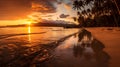 Sunset at Fiji beach Royalty Free Stock Photo