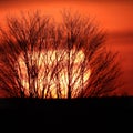 Orange Sunset days before the FingerLakes solar eclipse Royalty Free Stock Photo