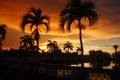 Sunset of fire over the lake and palm trees in the tropical island of Borneo in Kota Kinabalu, Malaysia. Spectacular co Royalty Free Stock Photo