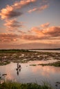 Sunset Fishing Royalty Free Stock Photo