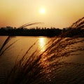 Sunset on the fishponds with straw