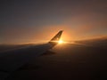 Sunset and flight wing