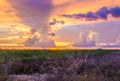 Sunset in the Florida Everglades with a rain cloud in the distance.
