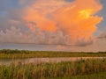 sunset in the Loxahatchee national wildlife center