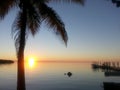 Sunset in the Florida Keys with Palm Tree and Dock Royalty Free Stock Photo