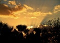 Sunrays coming out of clouds during sunset in Ft. Pierce, Florida with silhouette of palm trees framing photo Royalty Free Stock Photo