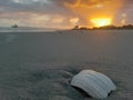 Sunset folly beach Charleston seashells