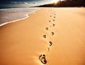 Sunset Footprints on Sandy Beach Royalty Free Stock Photo