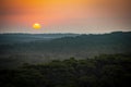 Sunset, Forest from the Dune du Pilat, the biggest sand dune in Europe, France Royalty Free Stock Photo