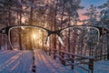 Sunset in forest landscape focused in women`s glasses frame. View through eyeglasses. Better vision concept. Colorful view of Royalty Free Stock Photo