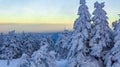 Sunset forest landscape panorama icy fir trees Brocken mountain Germany Royalty Free Stock Photo