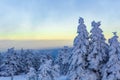 Sunset forest landscape panorama icy fir trees Brocken mountain Germany Royalty Free Stock Photo