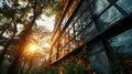 Sunset in the forest and modern building with glass wall and trees Royalty Free Stock Photo