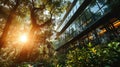 Sunset in the forest with trees and glass wall of modern building Royalty Free Stock Photo