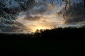 Sunset in the forrest looking through branches over a pond