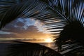 Sunset framed by palm fronds. Royalty Free Stock Photo