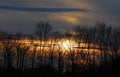 Sunset clouds behind a row of tree silhouettes in the FingerLakes of NYS Royalty Free Stock Photo