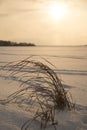 Frozen winter lake Royalty Free Stock Photo