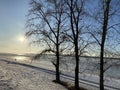 Sunset on the frozen Volga River. There are three trees on the snowy shore in the foreground Royalty Free Stock Photo