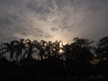 Sunset in the garden. Width view. Royalty Free Stock Photo