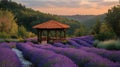 Sunset Gazebo Lavender Field Hillside Relaxation Royalty Free Stock Photo