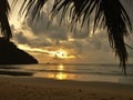 Sunset glow over a beautiful tropical beach and ocean water. Different colours of clouds and the silhouette of palm tree. Royalty Free Stock Photo