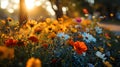 Sunset Glow on Wildflowers. Generative AI