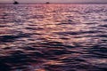 Sunset Glows on Ocean Surface in Bright Colors of Pink Purple and Orange Royalty Free Stock Photo