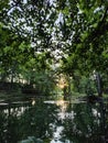 Sunset Golden Hour with sun rays in park with lake and reflection Royalty Free Stock Photo