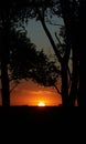 Sunset and golden sun in the argentine countryside