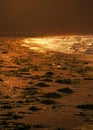 Sunset and golden waves, light, beach, Sea of Japan after storm, Primorye, Russia