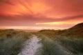 Sunset, grass and pathway to ocean or beach, nature and sand in road. Sea, landscape and environment for walking in Royalty Free Stock Photo