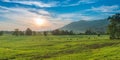 Sunset with Grazing Cows Powell County, KY Royalty Free Stock Photo