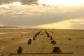 Almost sunset on the Great Salt Lake, Utah Royalty Free Stock Photo