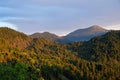 Sunset on Greek Mountain Pine Forests, Greece Royalty Free Stock Photo