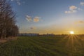 Sunset on green field near shops and markets in Budweis city