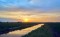 Sunset in the green fields cultivated with rice plants. July in the Albufera of Valencia Royalty Free Stock Photo