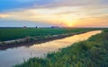 Sunset in the green fields cultivated with rice plants. July in the Albufera of Valencia Royalty Free Stock Photo