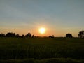 Sunset in the green and nature farm Royalty Free Stock Photo
