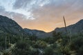 Sunset in Guadalupe Mountains National Park Royalty Free Stock Photo